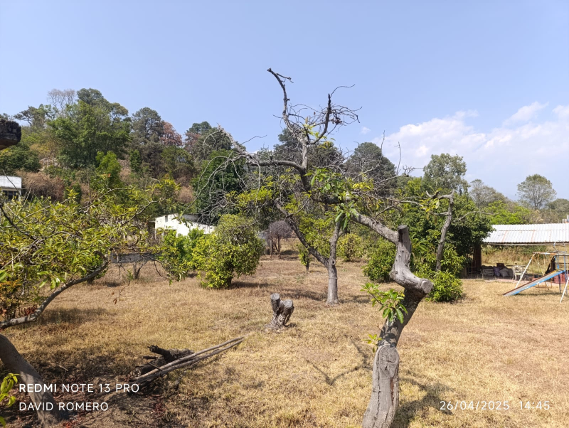 Terreno En Venta En Nepantla De Sor Juana Inés De La Cruz 