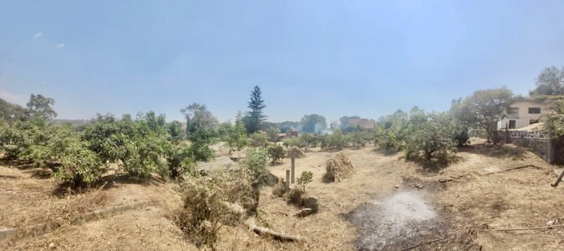 Terreno En Venta En Nepantla De Sor Juana Inés De La Cruz 
