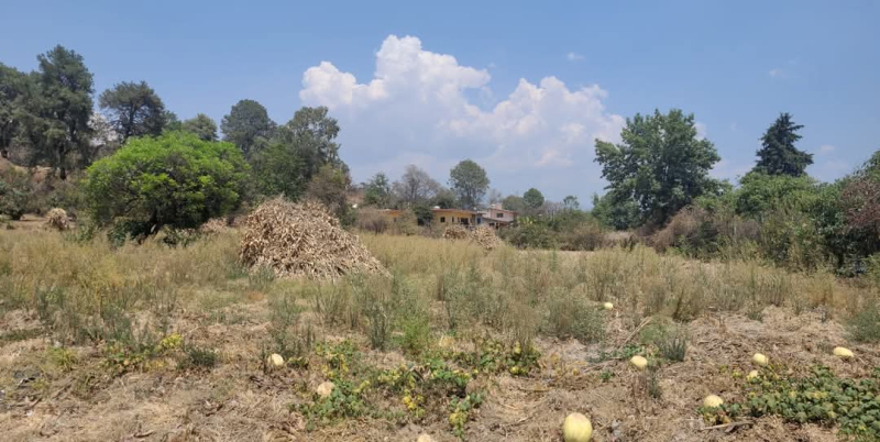 Terreno En Venta En Nepantla De Sor Juana Inés De La Cruz 