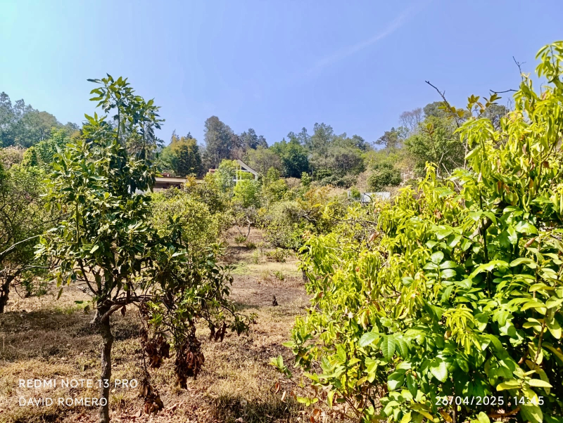 Terreno En Venta En Nepantla De Sor Juana Inés De La Cruz 
