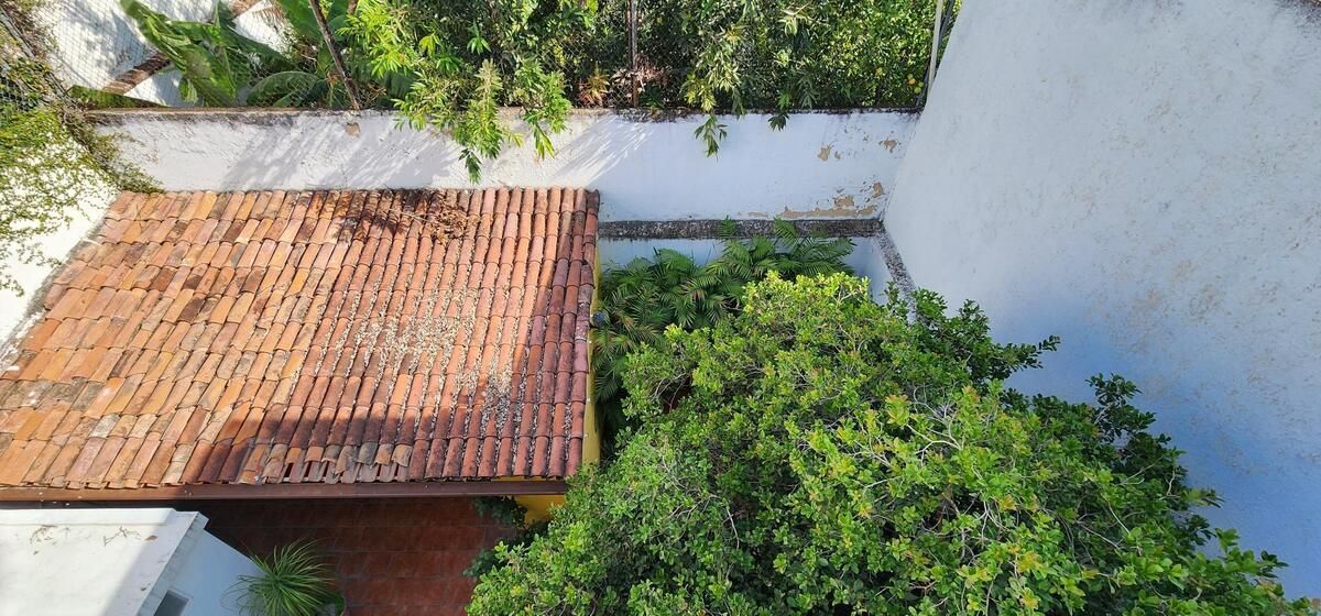 Casa En Renta En Eulogio Parra A 1 Cuadra De Hospital San Javier