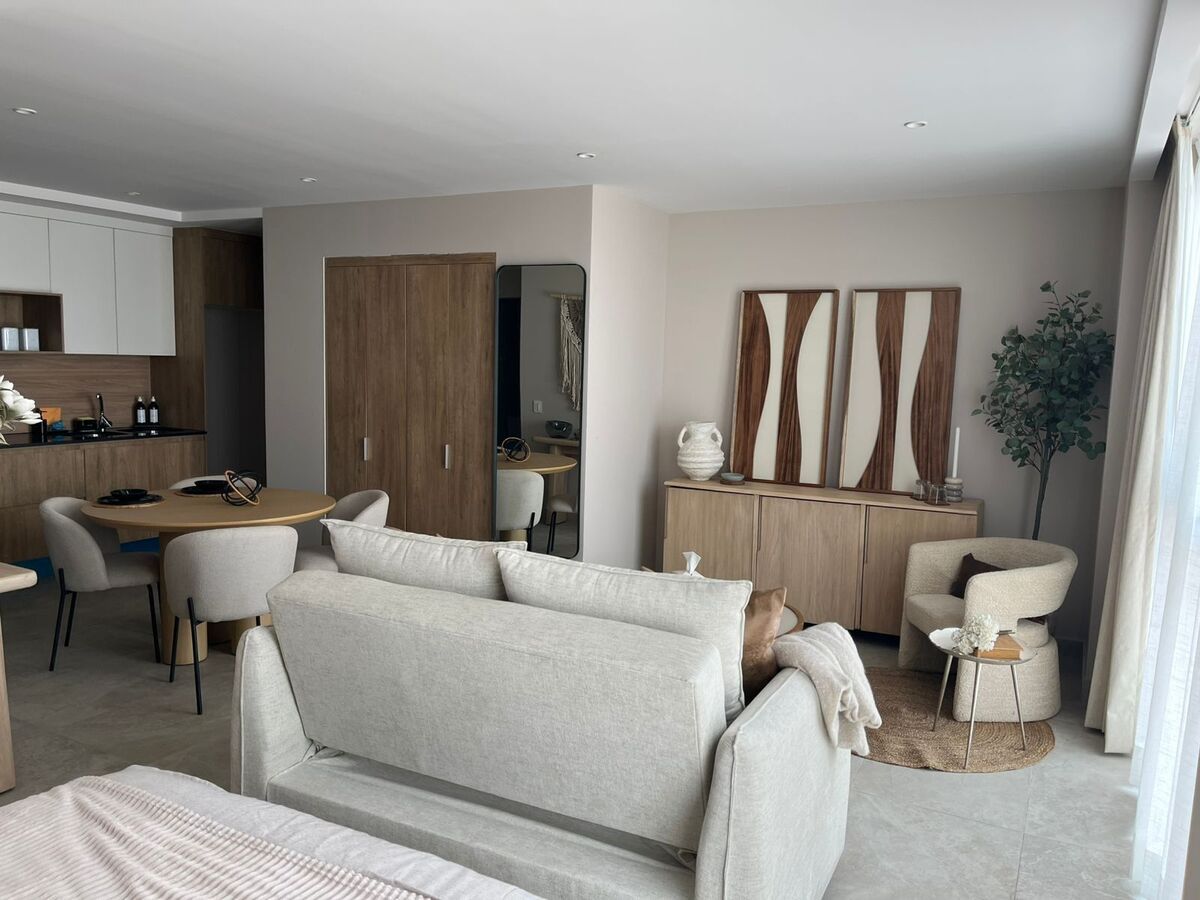 Departamento Tipo Loft En Renta En Distrito Republica