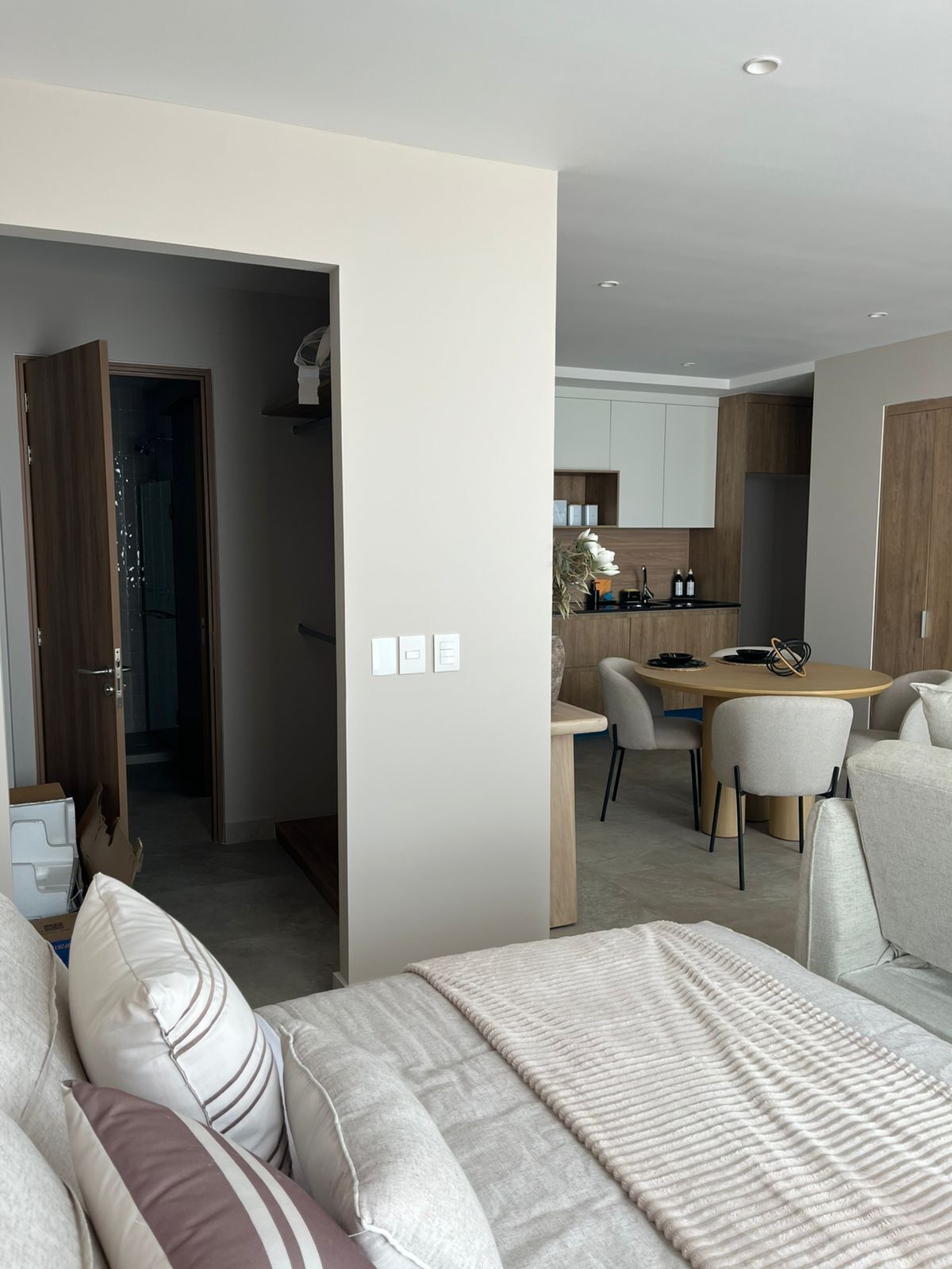Departamento Tipo Loft En Renta En Distrito Republica