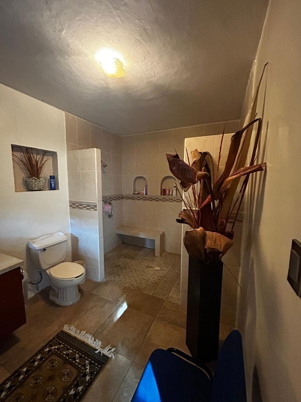 Casa En Venta En Colonia Independencia Cerca De Centro Medico