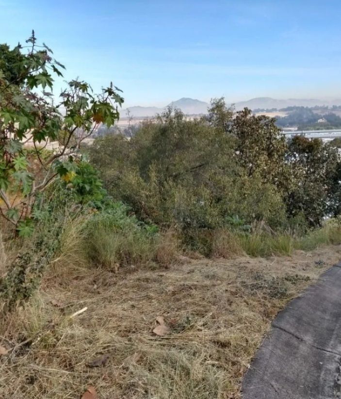 Terreno En Diana Natura En Venta, Excelente  Oportunidad.