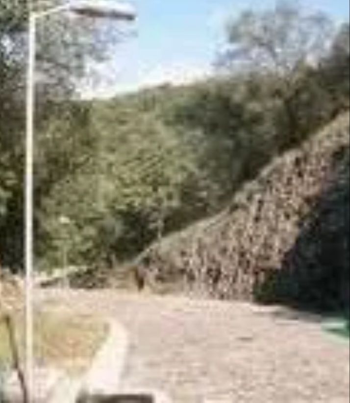 Terreno En Diana Natura En Venta, Excelente  Oportunidad.