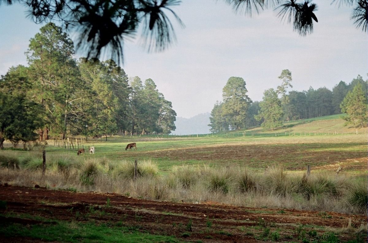 Rancho EL CALATE II en JuanacatlÃ¡n a 15 min. de Tapalpa
