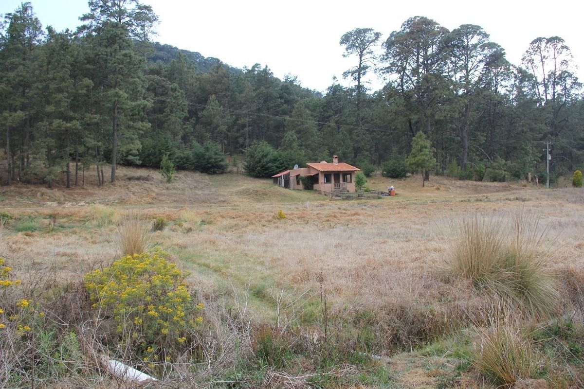 Rancho EL CALATE II En Juanacatlán A 15 Min. De Tapalpa