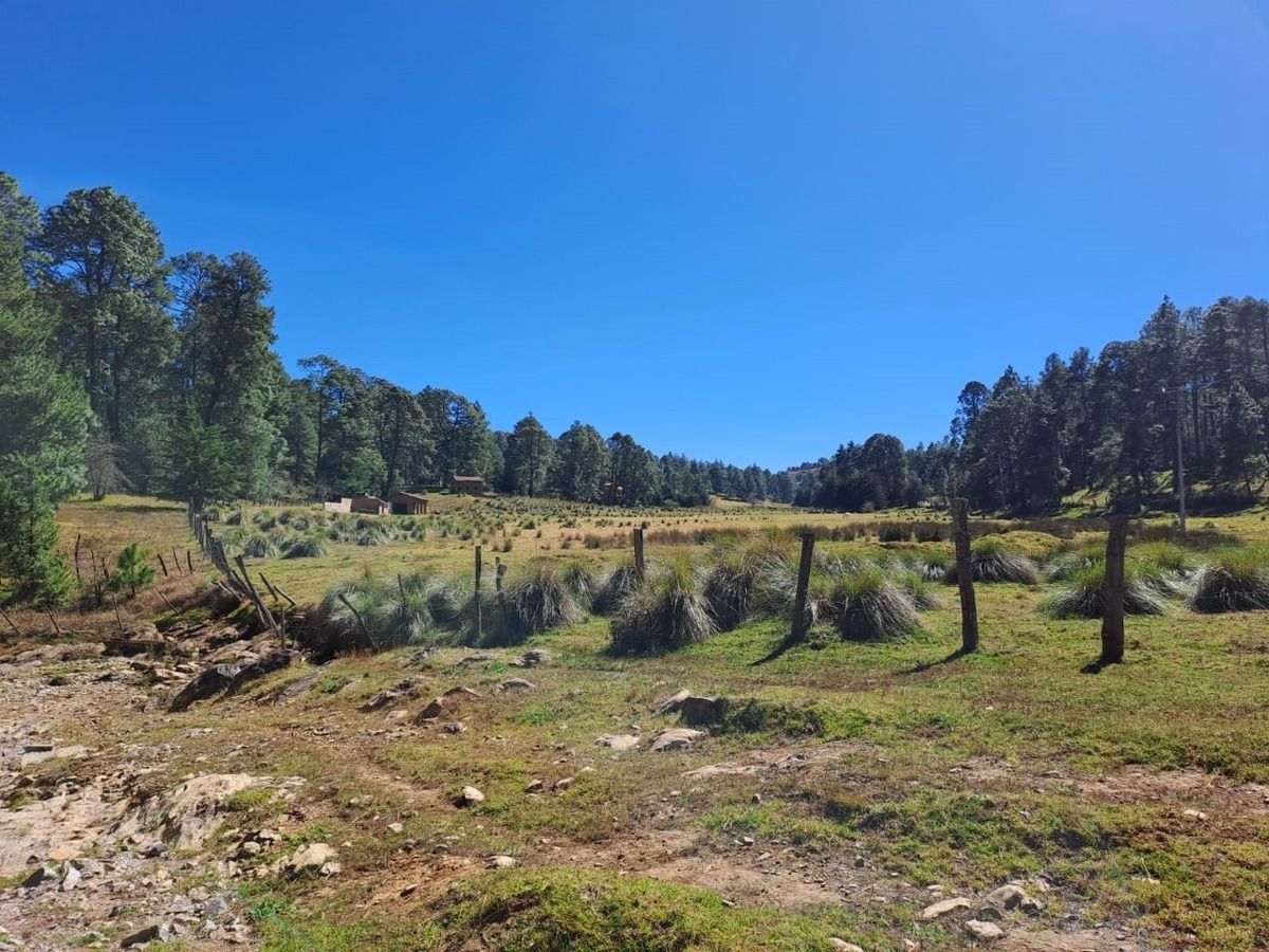 Rancho EL CALATE II En Juanacatlán A 15 Min. De Tapalpa