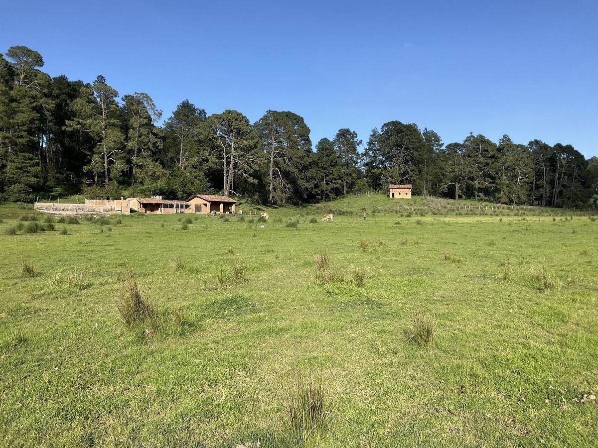 Rancho EL CALATE II En Juanacatlán A 15 Min. De Tapalpa