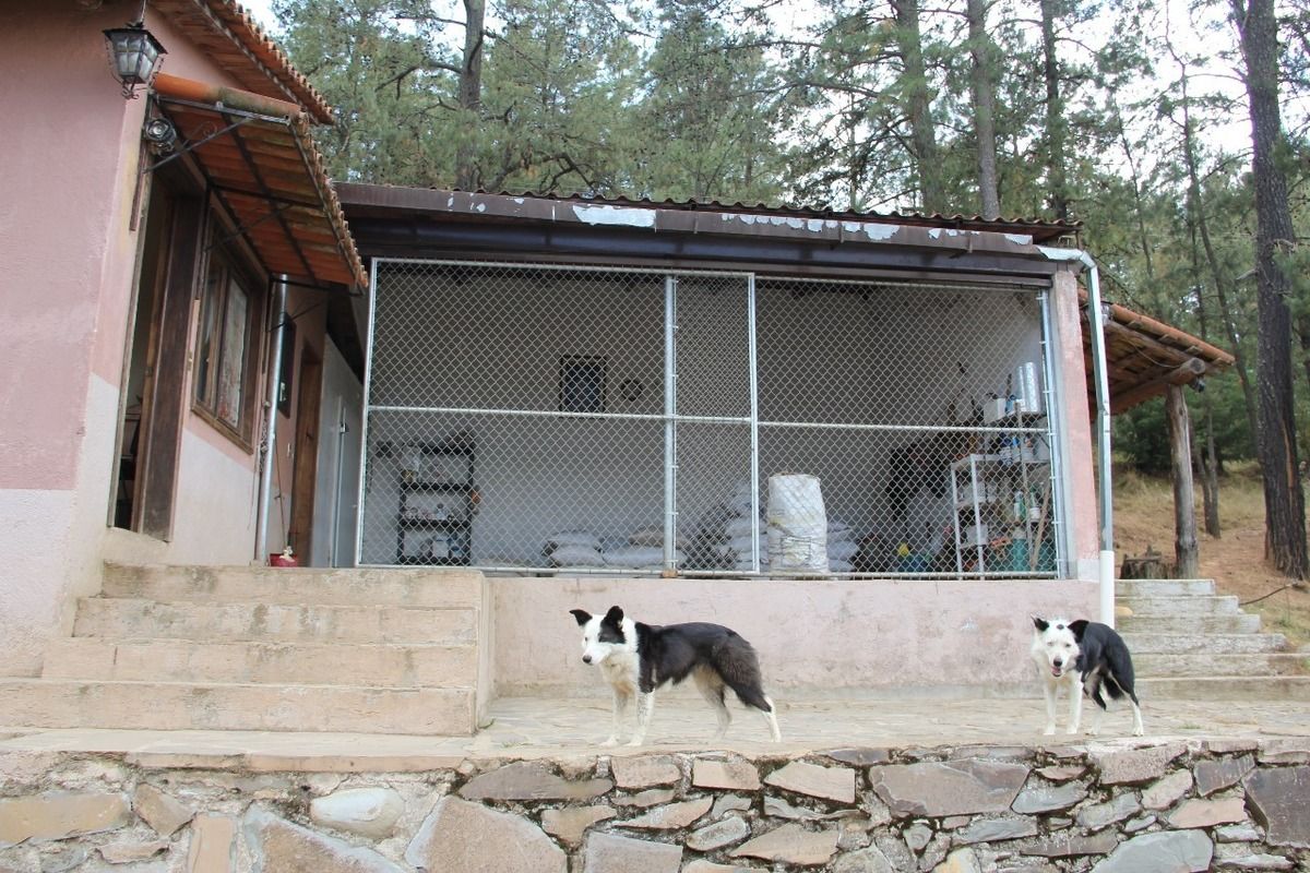 Rancho EL CALATE II En Juanacatlán A 15 Min. De Tapalpa
