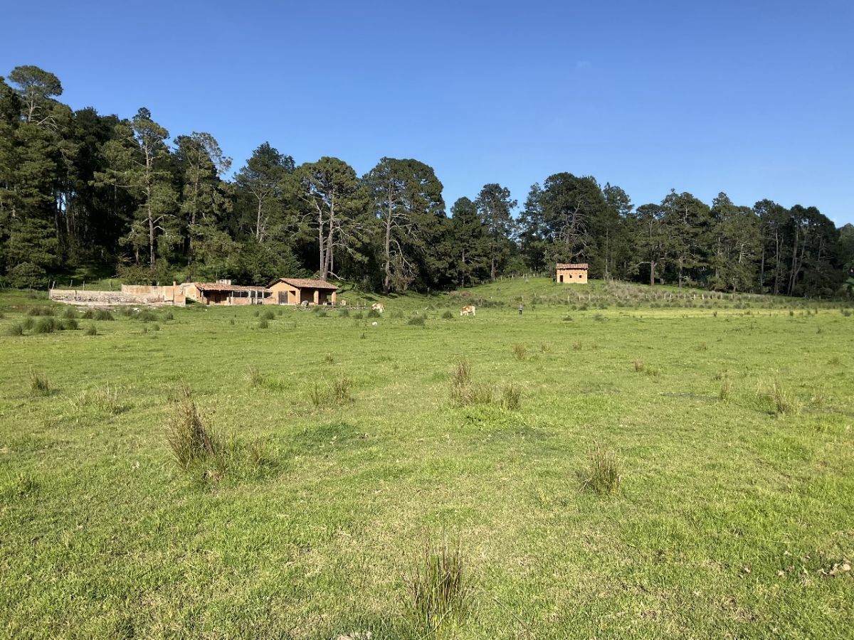 Hermoso Rancho CALATE I En Venta En Juanacatlan A 15 Min. De Tapalpa Con Bosque.