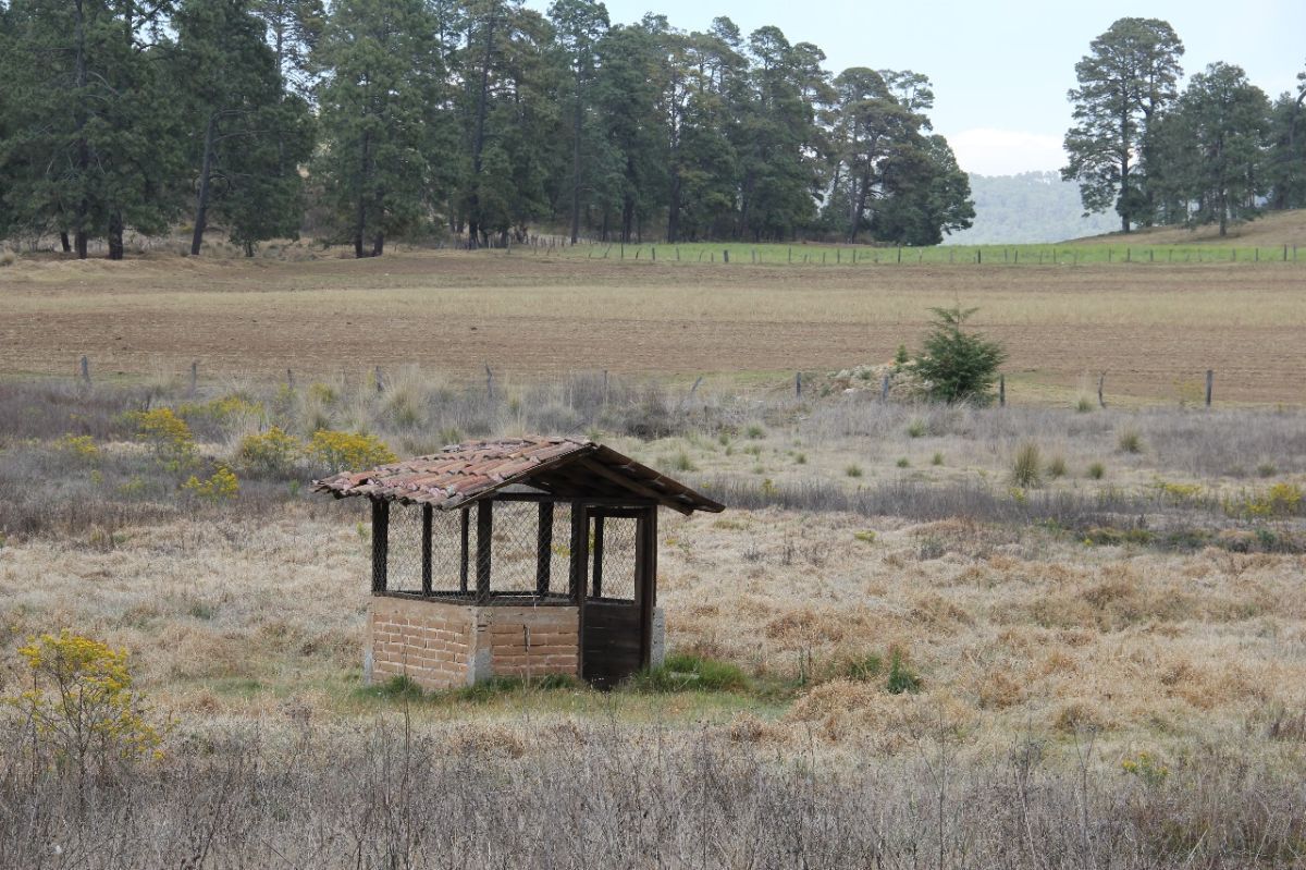 Hermoso Rancho CALATE I En Venta En Juanacatlan A 15 Min. De Tapalpa Con Bosque.