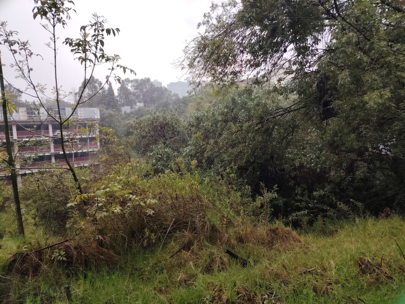 Terreno en Venta en Villa Alpina 
