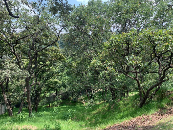 venta terreno en cumbres de santa fe