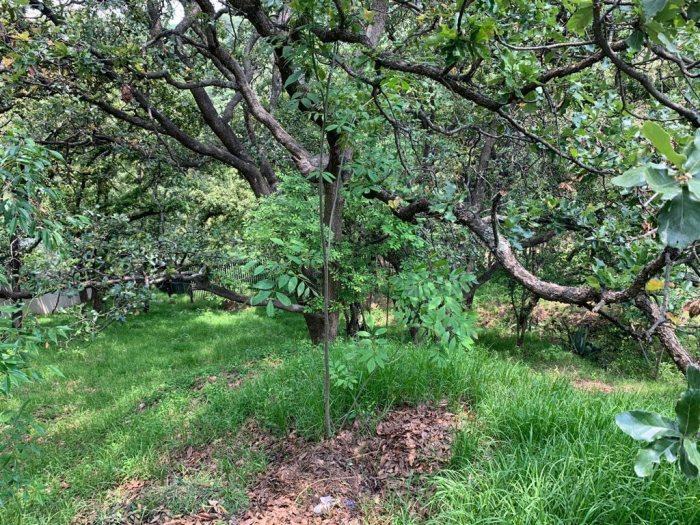 venta terreno en cumbres de santa fe