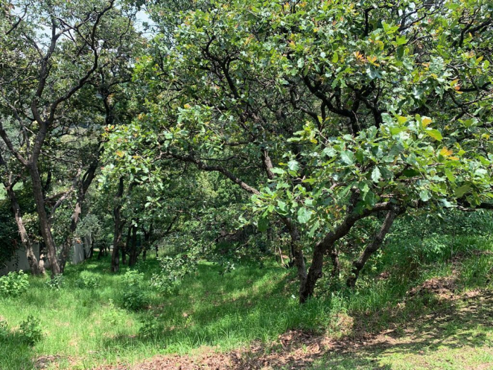 venta terreno en cumbres de santa fe