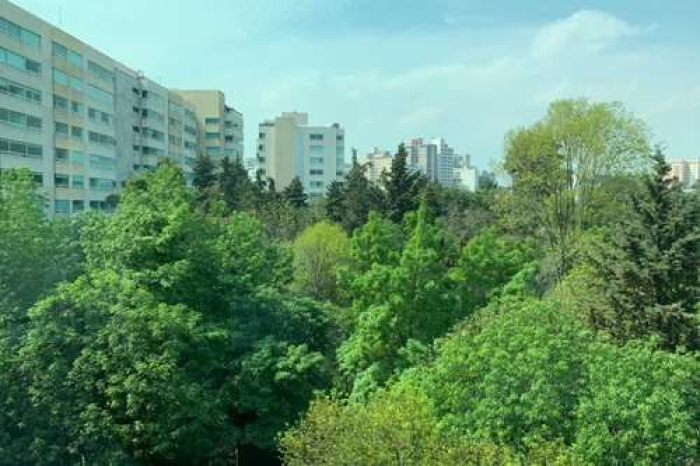 venta departamento lomas de chapultepec