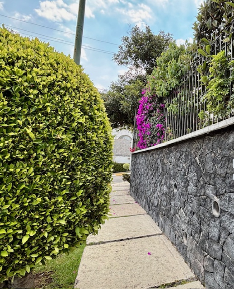 Casa En Venta, En Lomas De Tecamachalco
