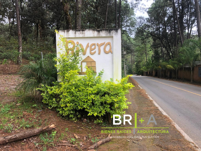 ESTUPENDO LOCAL EN RENTA