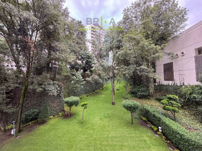 Departamento En Venta Con Terraza Lomas De Chapultepec
