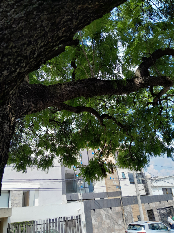 PH En Venta En Lomas De Tecamachalco Bosques I Y II