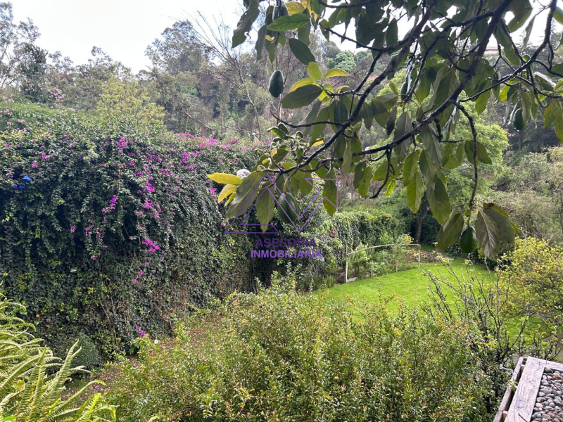 Casa En Renta En Lomas De Tecamachalco