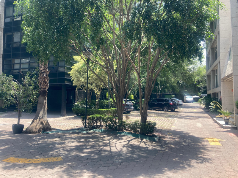 Local Comercial En Renta En Av. Universidad