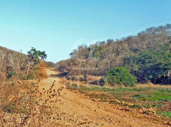 terrenos en venta en troncones a 20 min de ixtapa zihuatanejo
