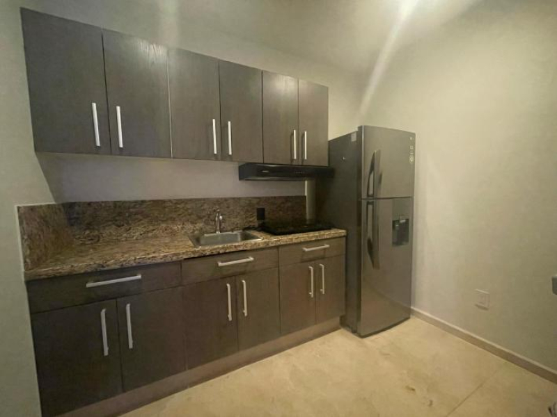 Departamento En Renta En Lomas De Chapultepec