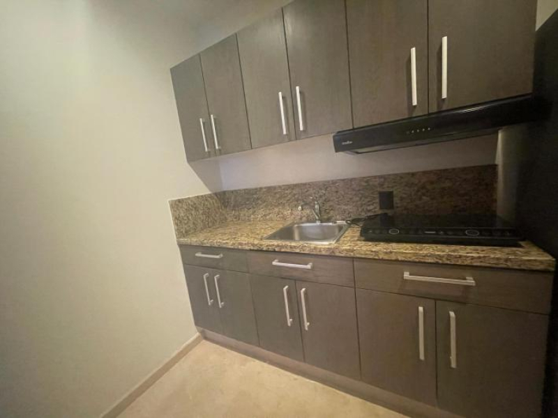 Departamento En Renta En Lomas De Chapultepec
