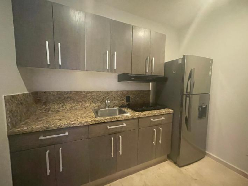 Departamento En Renta En Lomas De Chapultepec