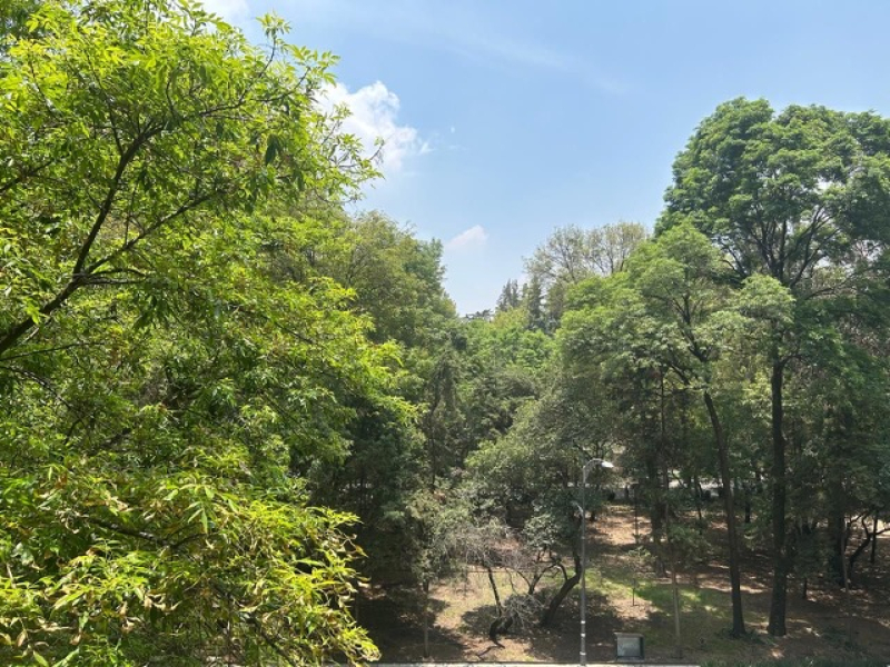 Departamento En Renta En Polanco