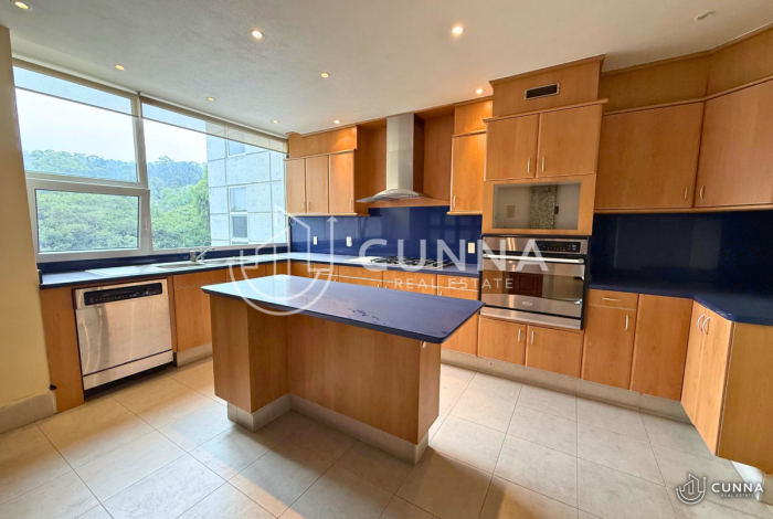 departamento pico de verapaz en venta y renta