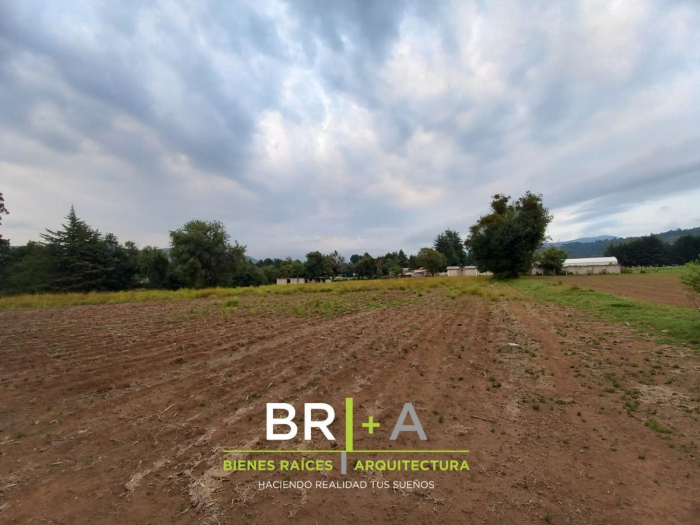 Terreno ideal para tu casa de campo