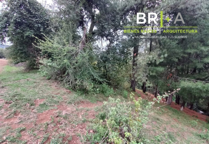 Terreno Ideal Para Tu Casa De Campo