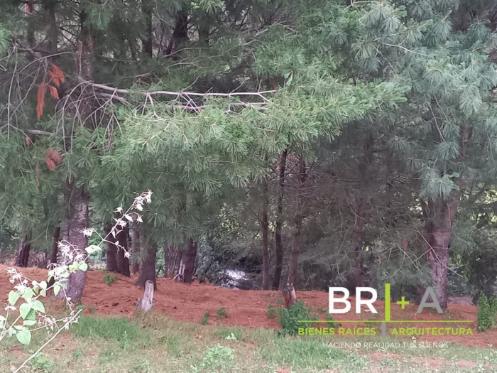 Terreno Ideal Para Tu Casa De Campo