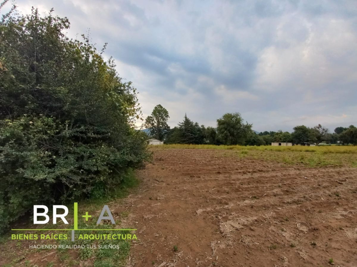 Terreno Ideal Para Tu Casa De Campo