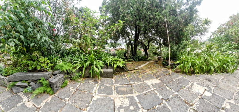 TERRENO EN VENTA - CRUZ VERDE - SAN NICOLÁS TOTOLPAN - MAGDALENA CONTRERAS 
