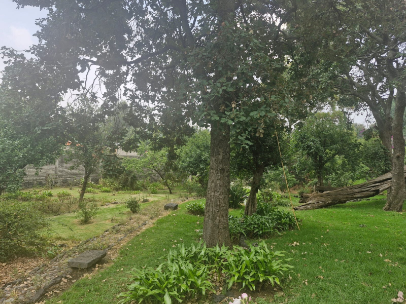TERRENO EN VENTA - CRUZ VERDE - SAN NICOLÁS TOTOLPAN - MAGDALENA CONTRERAS 