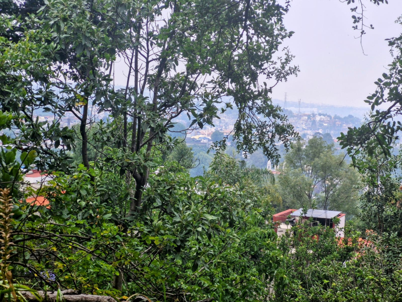 TERRENO EN VENTA - CRUZ VERDE - SAN NICOLÁS TOTOLPAN - MAGDALENA CONTRERAS 