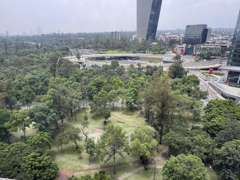 en la mejor  zona de polanco rodeado parques , restaurantes y zonas comerciales , escuelas, bancos, todo caminando. excelente vista a campo marte , fuente de petroles  edificio con vigilancia 24 horas 