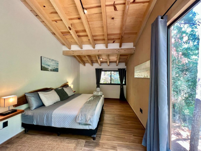 casa armadillo