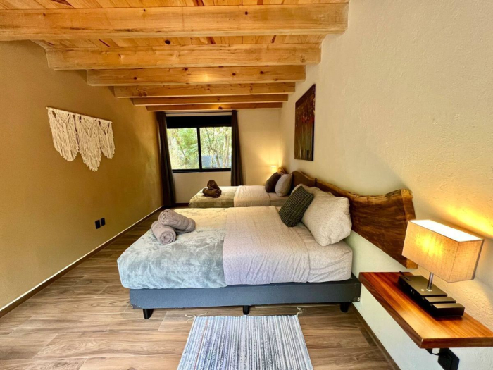 casa armadillo