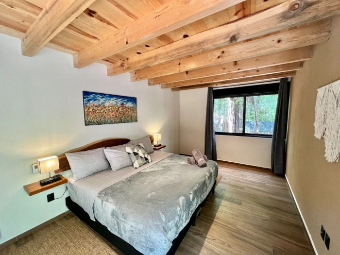 casa armadillo