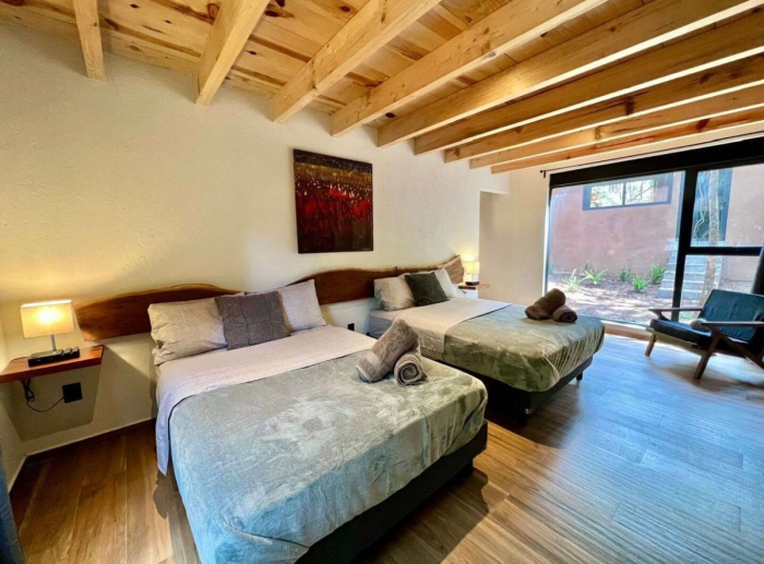 casa armadillo