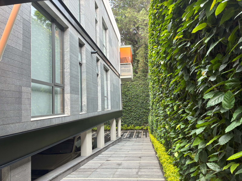 Departamento En Renta En Lomas De Chapultepec