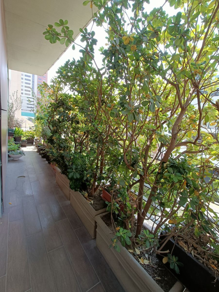 venta departamento en interlomas, hacienda de las palmas, balcones