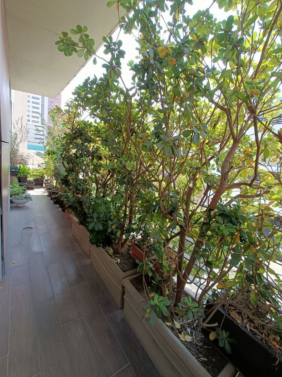 venta departamento en interlomas, hacienda de las palmas, balcones