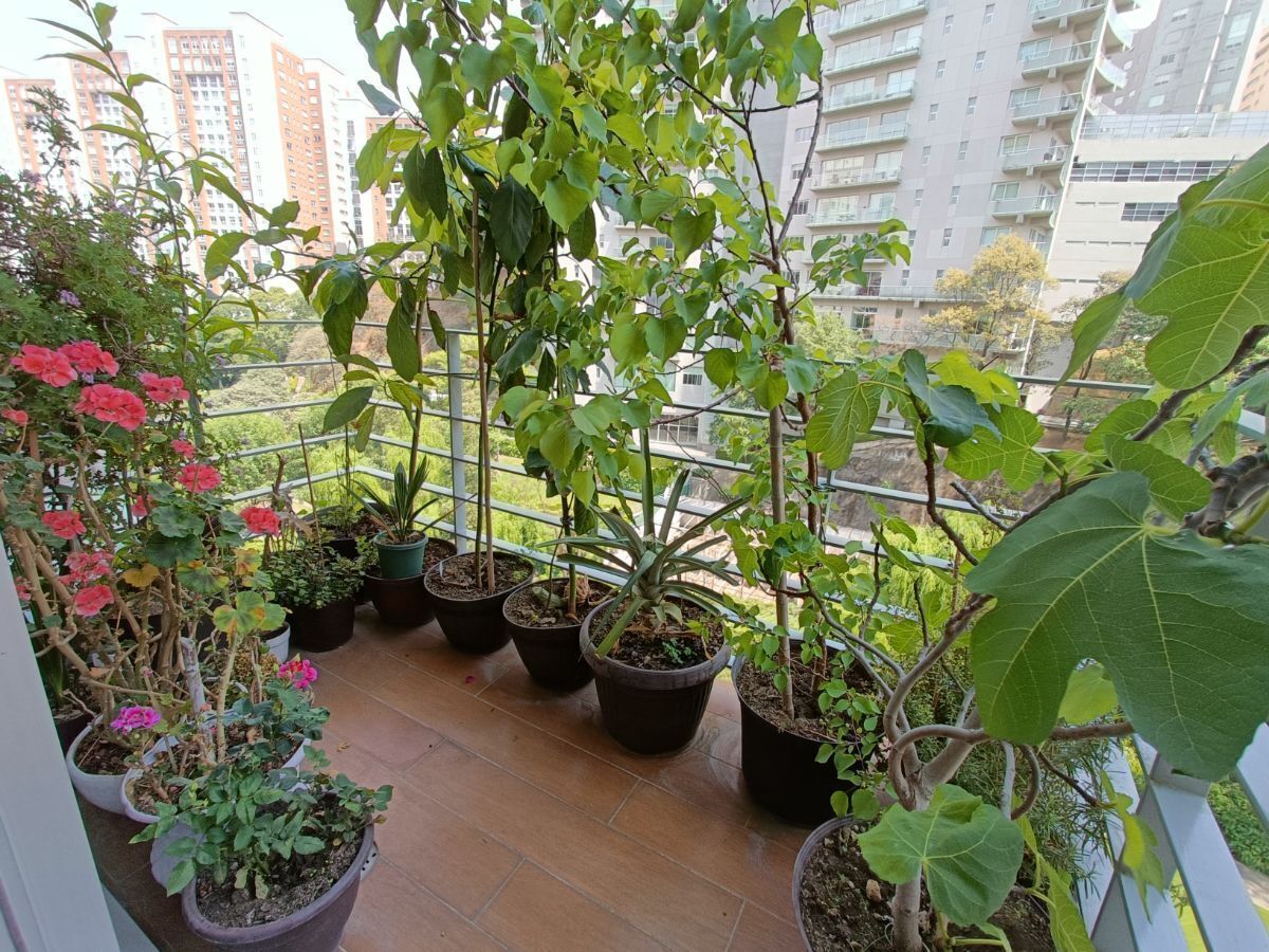 venta departamento en interlomas, hacienda de las palmas, balcones